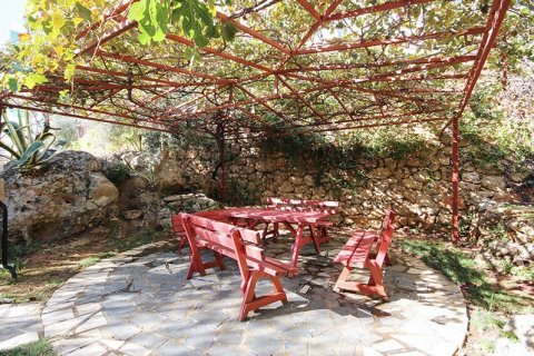 Lägenhet  i Tosmur, Alanya, Antalya, Turkiet Nr. 207056 - 21