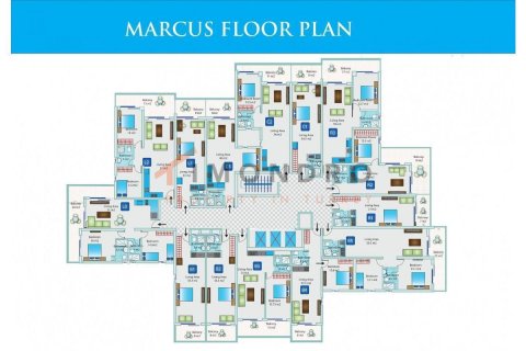 1+1 Leilighet  i  Nr. 206806 - 11