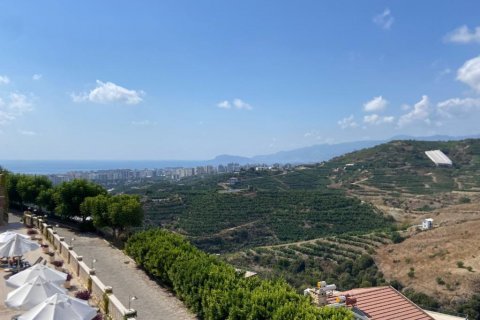 Lejlighed  i Kargicak, Alanya, Antalya, Tyrkiet Nr. 210256 - 23