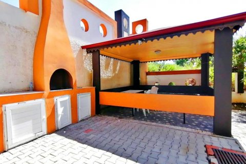 Lägenhet  i Kestel, Antalya, Turkiet Nr. 208485 - 4