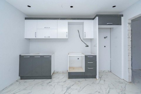 آپارتمان در  Kestel ، ترکیه 230 متر مربع.  شماره 208258 - 15