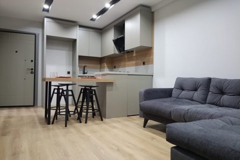 آپارتمان در  Antalya ، امارات متحده عربی 55 متر مربع.  شماره 188668 - 2