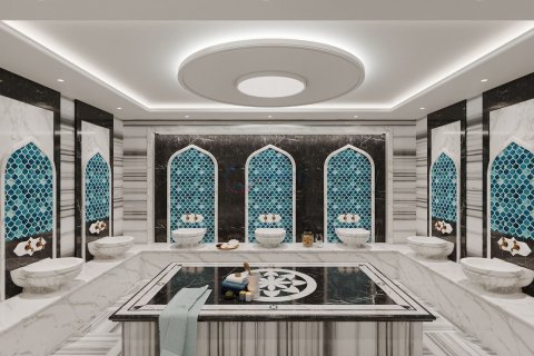 1+1 Wohnung in Alanya, Antalya, Türkei Nr. 211490 - 19