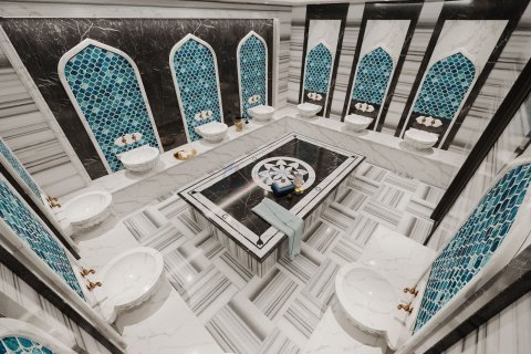 1+1 Wohnung in Alanya, Antalya, Türkei Nr. 211490 - 21