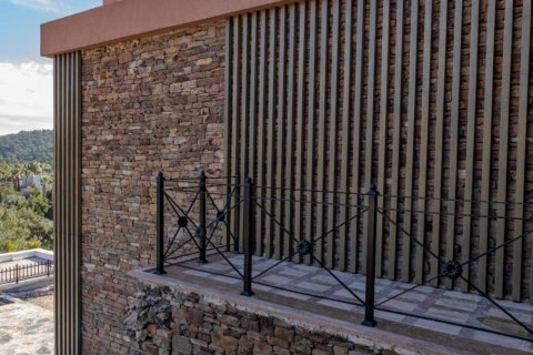 Villa  4+1  Bodrum, Muğla, Türkiye №210284 - 9