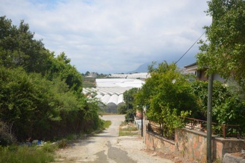 Продажа виллы  в Аланье, Анталье, Турция 3 комн., 300м2, №209333 – фото 17