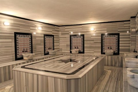 پنت هاس در  Mahmutlar ، ترکیه 520 متر مربع.  شماره 208514 - 7