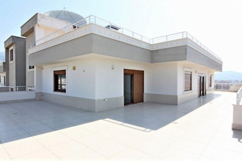 پنت هاس در  Mahmutlar ، ترکیه 520 متر مربع.  شماره 208514 - 23