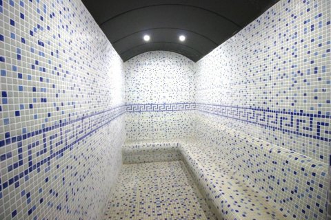 Takvåning  i Kestel, Antalya, Turkiet Nr. 207959 - 21