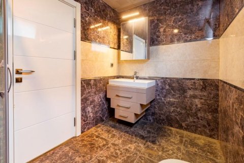 Lägenhet  i Kestel, Antalya, Turkiet Nr. 209996 - 11