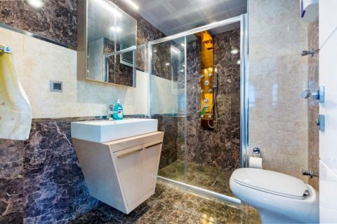 Lägenhet  i Kestel, Antalya, Turkiet Nr. 209996 - 15