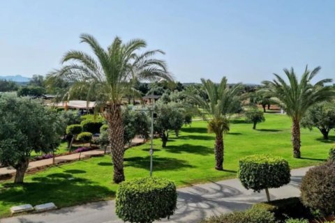 Lejlighed  i Bafra, Samsun, Tyrkiet Nr. 210997 - 20