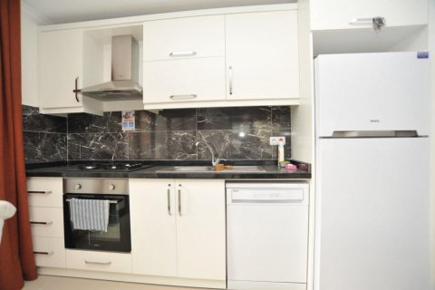 آپارتمان در  Kestel ، ترکیه 100 متر مربع.  شماره 208835 - 9