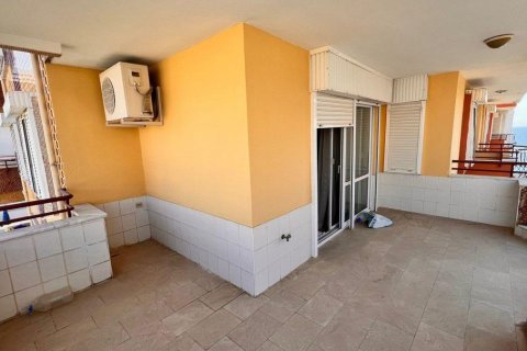 Продажа квартиры  в Махмутларе, Анталье, Турция 4 комн., 260м2, №207416 – фото 7