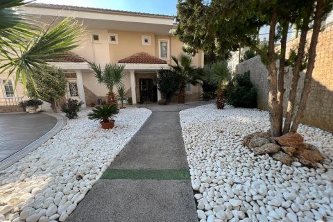 Villa i Cikcilli, Antalya, Turkiet Nr. 207412 - 5