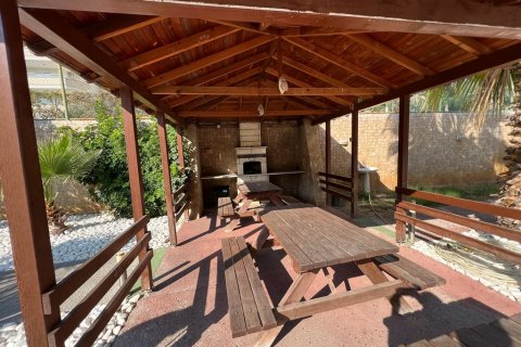 Villa i Cikcilli, Antalya, Turkiet Nr. 207412 - 10