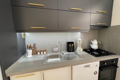 آپارتمان در  Alanya ، ترکیه 60 متر مربع.  شماره 208190 - 5