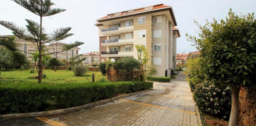 آپارتمان در  Oba ، ترکیه 175 متر مربع.  شماره 208675