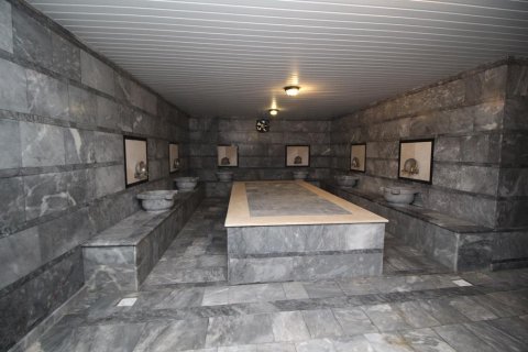 Dubleks daire   Kestel, Antalya, Türkiye №208387 - 5