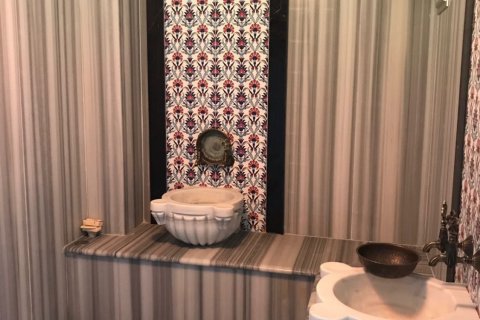 5+1 Villa  i Istanbul, Tyrkia Nr. 80246 - 9