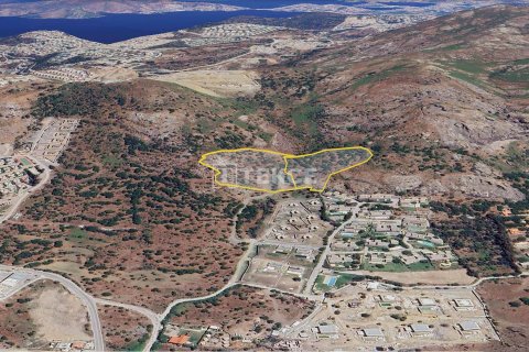 Продажа земельного участка  в Бодруме, Мугле, Турция, 30000м2, №193721 – фото 9