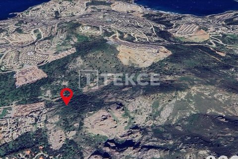 Продажа земельного участка  в Бодруме, Мугле, Турция, 30000м2, №193721 – фото 5