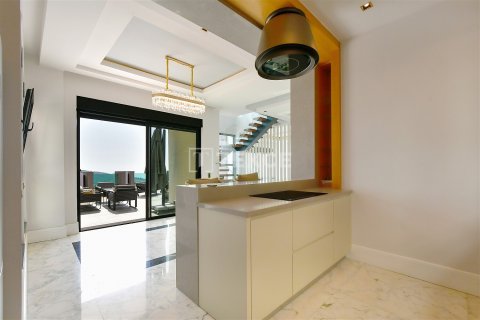 4+1 Villa i Alanya, Antalya, Tyrkia Nr. 210173 - 22