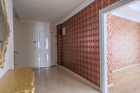 پنت هاس در Oba ، ترکیه 225 متر مربع. شماره 208127 - 19