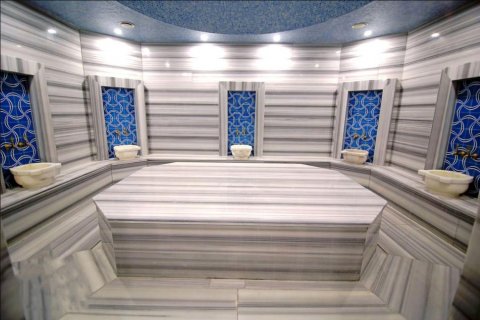 پنت هاس در Oba ، ترکیه 225 متر مربع. شماره 208127 - 16
