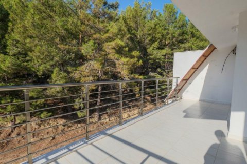 Penthouse  i Avsallar, Antalya, Tyrkiet Nr. 208125 - 14