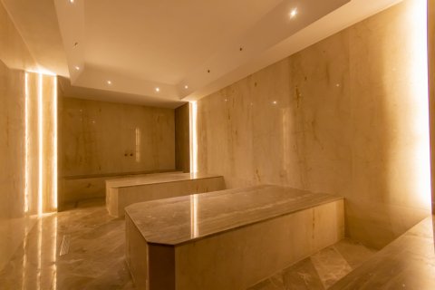 1+1 Wohnung  in Alanya, Antalya, Türkei Nr. 131938 - 27