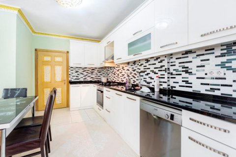 Takleilighet  i Alanya, Antalya, Tyrkia Nr. 209989 - 10