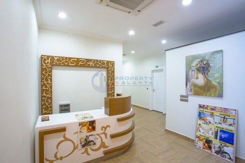 2+1 Wohnung  in Alanya, Antalya, Türkei Nr. 211527 - 12