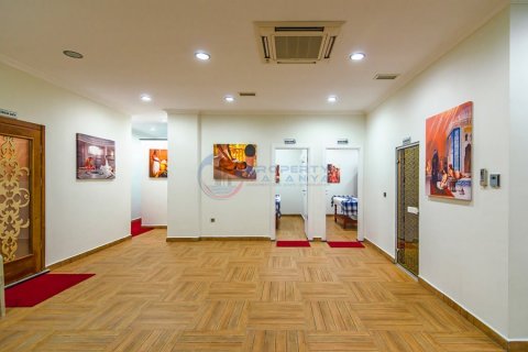 2+1 Wohnung  in Alanya, Antalya, Türkei Nr. 211527 - 14