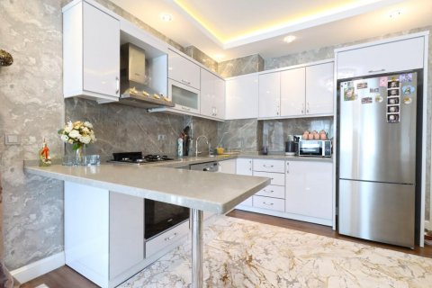 آپارتمان در  Kestel ، ترکیه 150 متر مربع.  شماره 208441 - 11