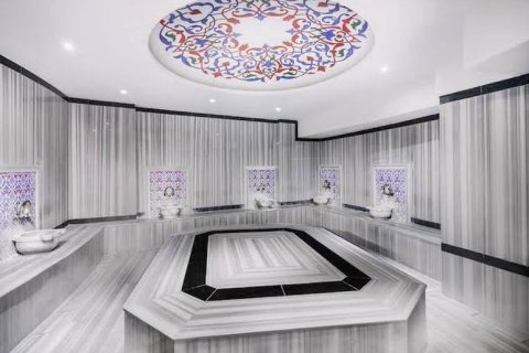 1+1 Wohnung  in Antalya, Türkei Nr. 211746 - 19