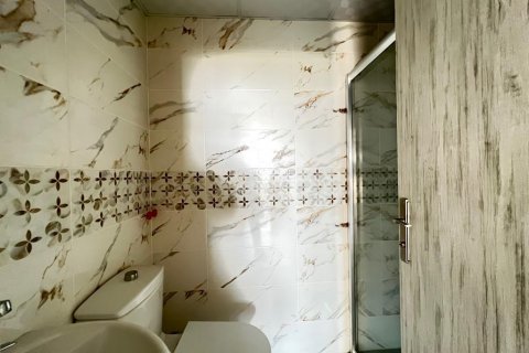 پنت هاس در  Avsallar ، ترکیه 120 متر مربع.  شماره 208226 - 15