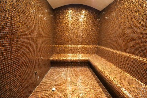 Wohnung in Alanya, Antalya, Türkei Nr. 208214 - 25