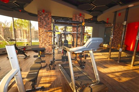 Wohnung in Alanya, Antalya, Türkei Nr. 208214 - 13