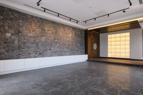 Продажа виллы  в Дёшемеалты, Анталье, Турция 6+1, 600м2, №194227 – фото 7