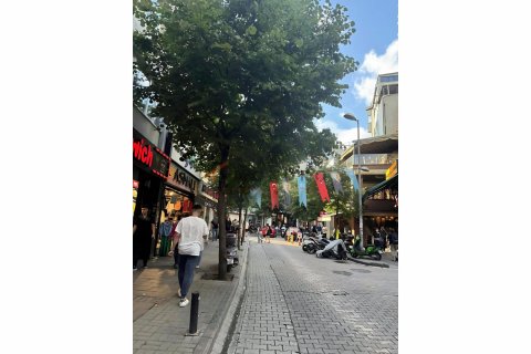 آپارتمان در Besiktas،  Istanbul ، ترکیه 2 خوابه ، 80 متر مربع.  شماره 191929 - 1