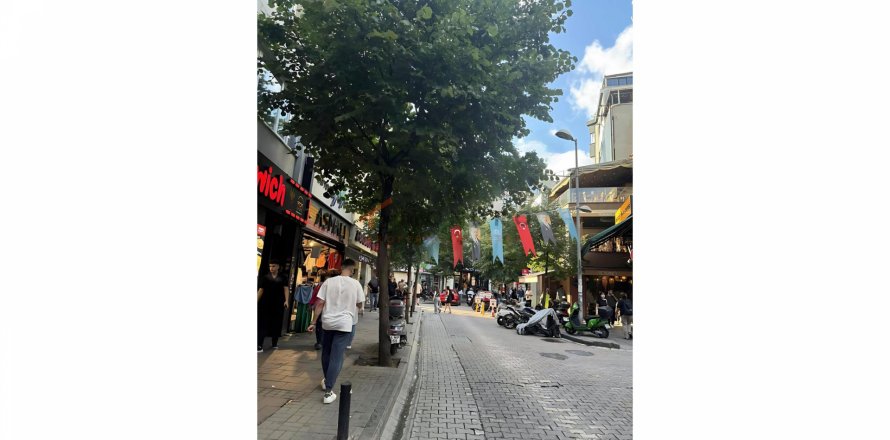 آپارتمان در Besiktas،  Istanbul ، ترکیه 2 خوابه ، 80 متر مربع.  شماره 191929