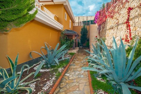 ویلا در  Alanya ، ترکیه 350 متر مربع.  شماره 208832 - 13