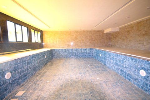 2+1 Takvåning  i Alanya, Antalya, Turkiet Nr. 47902 - 24