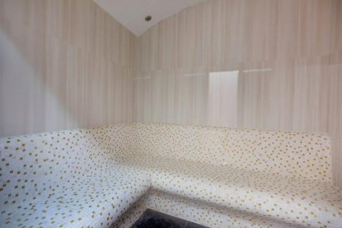 Wohnung  in Alanya, Antalya, Türkei Nr. 209948 - 11