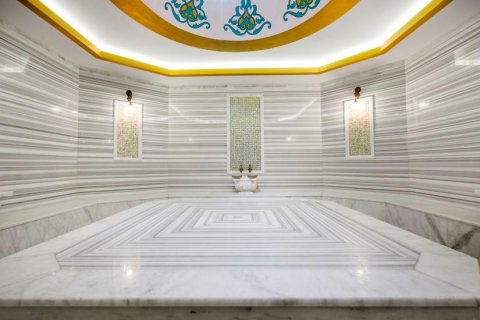 Wohnung  in Alanya, Antalya, Türkei Nr. 209948 - 10