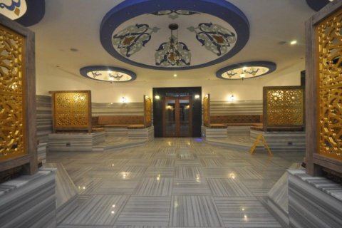 Продажа квартиры  в Кестеле, Анталье, Турция 2 комн., 65м2, №209276 – фото 4