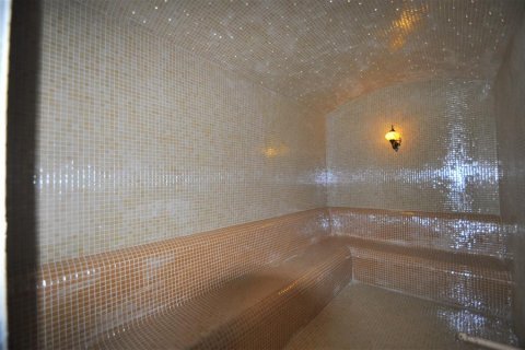 Wohnung  in Kestel, Antalya, Türkei Nr. 208596 - 30