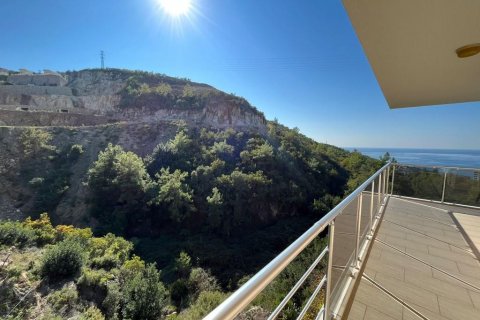 Penthäuser  in Kargicak, Alanya, Antalya, Türkei Nr. 207654 - 10