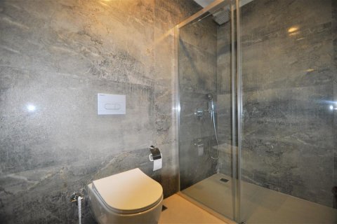 Продажа квартиры  в Кестеле, Анталье, Турция 2 комн., 65м2, №209447 – фото 12